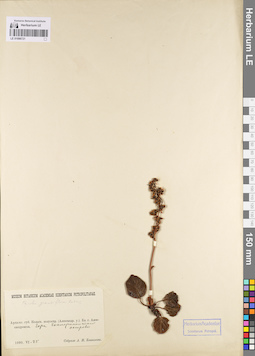 LE 01096721
