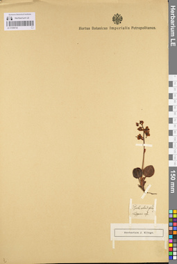 LE 01096742