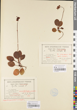 LE 01096797