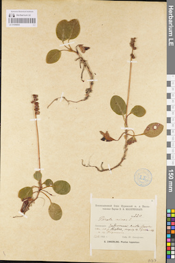 LE 01096850