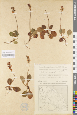 LE 01096867