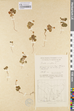 LE 01097075