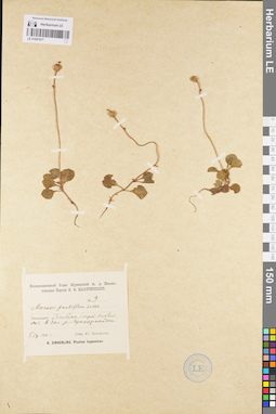 LE 01097077