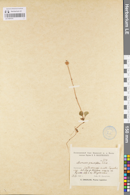 LE 01097078