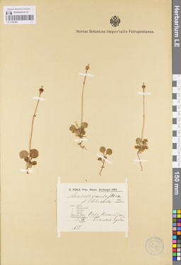 LE 01097084
