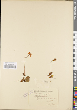 LE 01097090