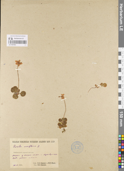 LE 01097093