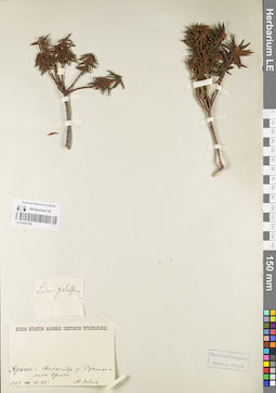 LE 01097109
