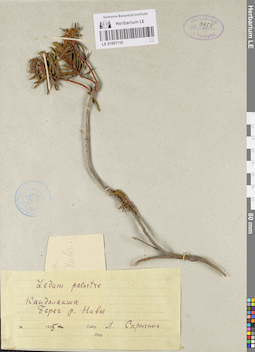 LE 01097110