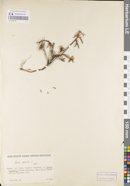 LE 01097140