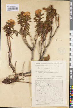 LE 01097152