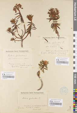 LE 01097154