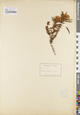 LE 01097157