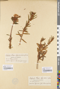 LE 01097158
