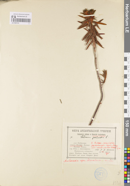 LE 01097161