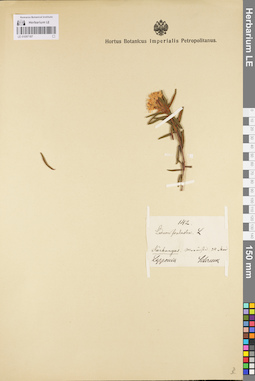 LE 01097187