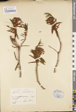 LE 01097195