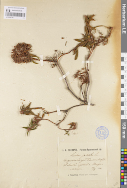 LE 01097197