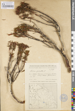 LE 01097222