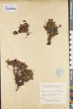 LE 01097254