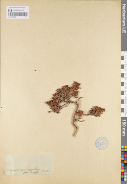 LE 01097292