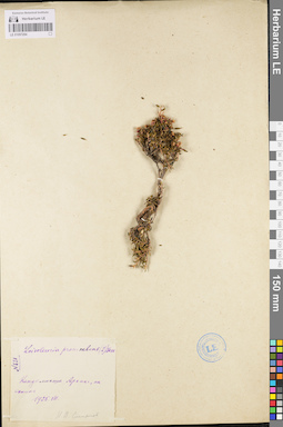 LE 01097294