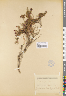 LE 01097296