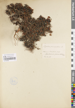 LE 01097308
