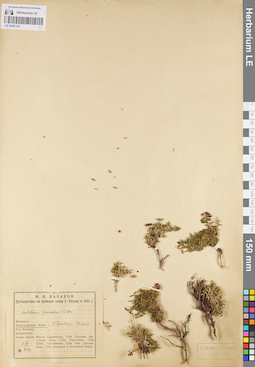 LE 01097315