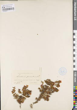 LE 01097331