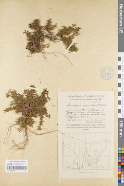 LE 01097333