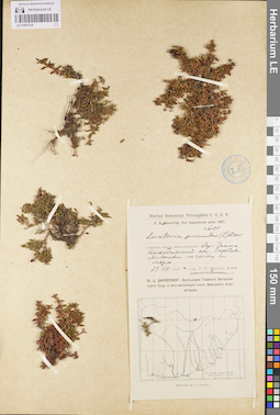 LE 01097334