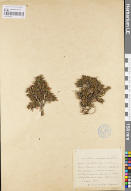 LE 01097343