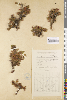 LE 01097344