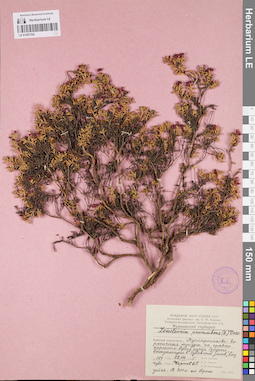 LE 01097354