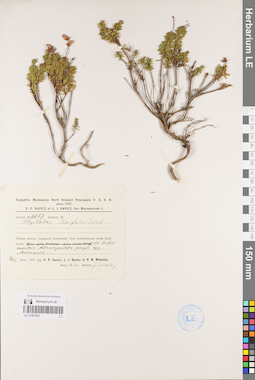 LE 01097423