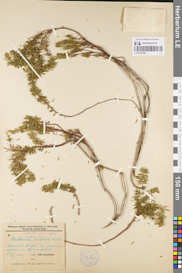 LE 01097452