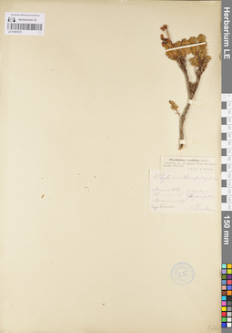 LE 01097475