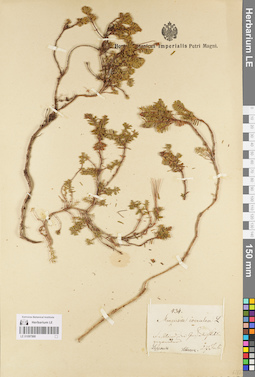 LE 01097500