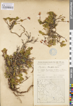 LE 01097518