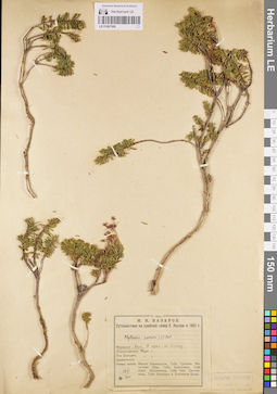 LE 01097550