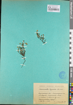 LE 01097740