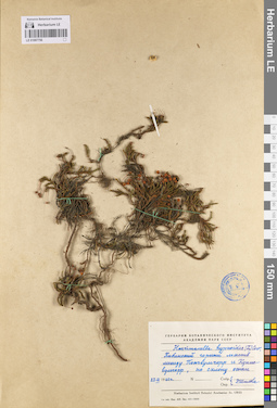 LE 01097756