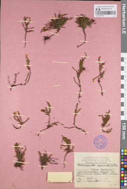 LE 01097762