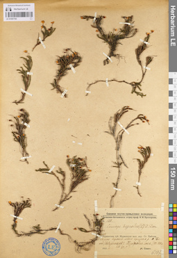 LE 01097783