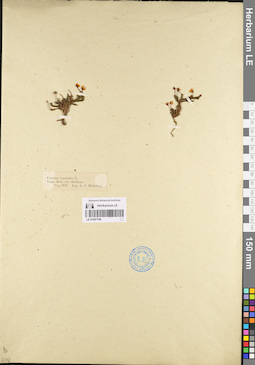 LE 01097798