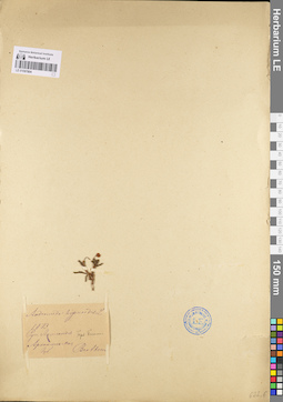 LE 01097804