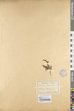 LE 01097807