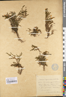 LE 01097812