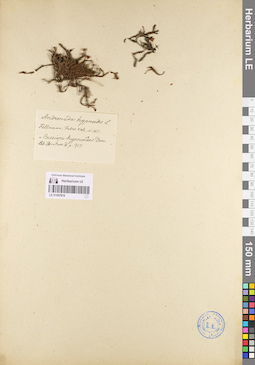 LE 01097816